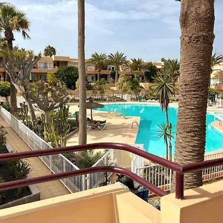 Todavida קורלחו