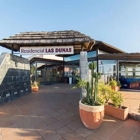 Todavida קורלחו