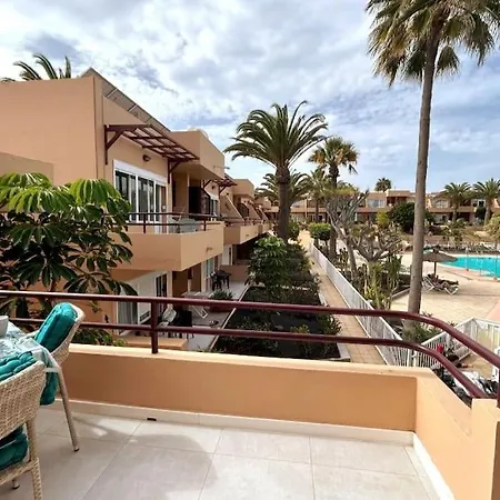 Todavida * קורלחו